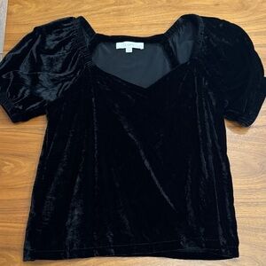 LOFT Elegant Black Velvet Blouse